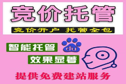 百度竞价广告在旅游行业的营销策略及效果